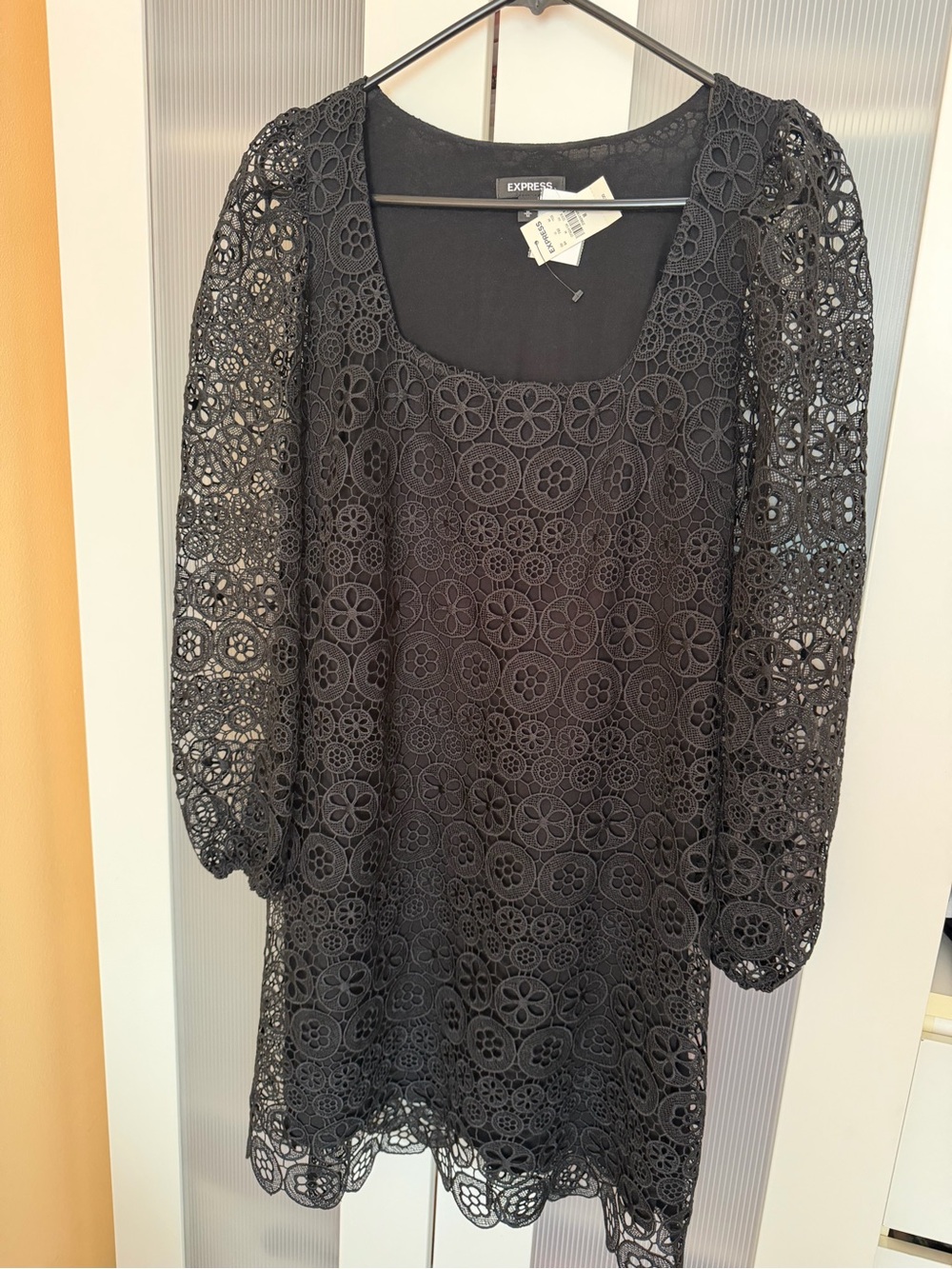 Express Black Crochet Floral Mini Dress